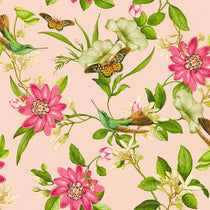 Pink Lotus Blush Wallpapers
